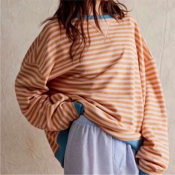 We The Free Tops - NWOT Free People We The Free Classic Striped Oversized Crewneck in Latte